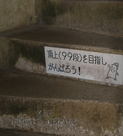MayNetaK4 068-1.jpg