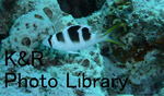 P1080027-1.jpg
