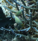 P1080355-1.jpg
