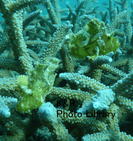 P1080397-1.jpg