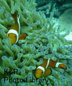 P1080399-1.jpg