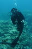 P1080764-1.jpg