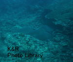 P1080820-1.jpg
