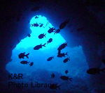 P1090595-1.jpg