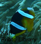 P1090714-1.jpg
