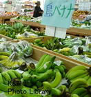 P1100332-1.jpg