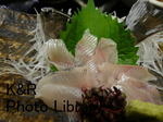 P1140030-1.jpg