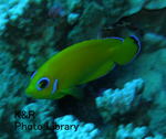 P1170062-1.jpg