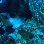 P1170071-1.jpg