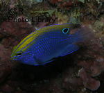 P2150188-1.jpg