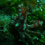 P7040030-1.jpg
