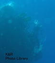 P7050009-1.jpg