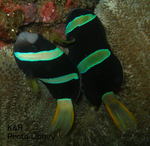 P7050039-1.jpg