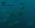P7050046-1.jpg