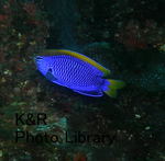 P7050127-1.jpg