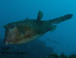 P7050132-1.jpg