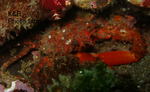 P7050219-1.jpg