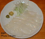 P7050244-1.jpg