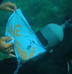 P7060267-1.jpg