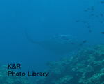P7070105-1.jpg