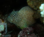 P7070222-1.jpg