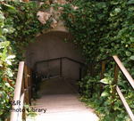 P7080007-1.jpg