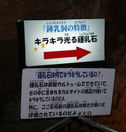 P7080013-1.jpg