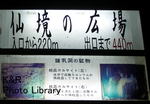P7080043-1.jpg