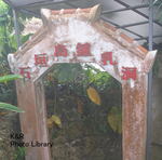 P7080109-1.jpg