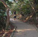 PA120308-1.jpg