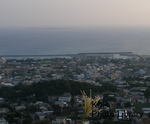 PA120312-1.jpg