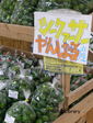 PA140074-1.jpg