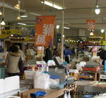 kaz-ski2.28 477-1.jpg