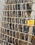 kaz-ski2.28 480-1.jpg