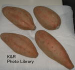 kaz12.27- 008-1.jpg