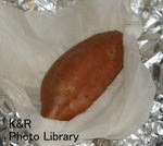 kaz12.27- 026-1.jpg