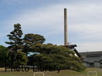 kazMyogi-May2 035-1.jpg