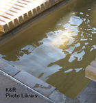 kazMyogi-Nov 336-1.jpg