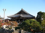 kazMyogi-Nov 391-2.jpg