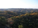kazMyogi-Nov 406-2.jpg