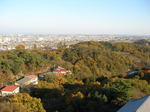 kazMyogi-Nov 408-2.jpg