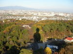 kazMyogi-Nov 414-2.jpg