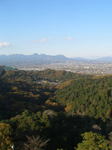kazMyogi-Nov 422-2.jpg