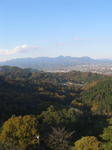 kazMyogi-Nov 426-2.jpg