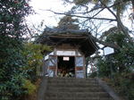 kazMyogi-Nov 440-2.jpg