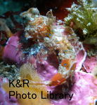 kazOseboat-Jan 062-1.jpg