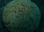 kazOseboat-Jan 070-1.jpg