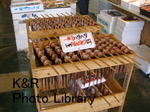 kazSake-Mar 332-1.jpg