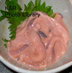 kazetc-Dec2 034-1.jpg