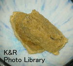 kazetc-Dec2 036-1.jpg